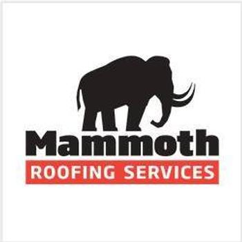 Mammoth Services LLC